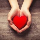 a pair of hand holding a heart shaped, red flower